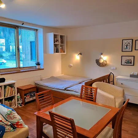 Plne Vybaveny Apartman V Harrachove Pod Mumlavskym Vodopadem, Idealni Vychozi Bod Pro Turistiku, Klid A Relax, U Cesty Na Hrebeny, Kousek Do Centra, Vybaveny I Pro Deti, Wellness A Fitko Naproti, Zahrada S Ohnistem U Domu Exterior photo