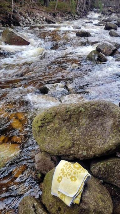 Plne Vybaveny V Harrachove Pod Mumlavskym Vodopadem, Idealni Vychozi Bod Pro Turistiku, Klid A Relax, U Cesty Na Hrebeny, Kousek Do Centra, Vybaveny I Pro Deti, Wellness A Fitko Naproti, Zahrada S Ohnistem U Domu Apartment