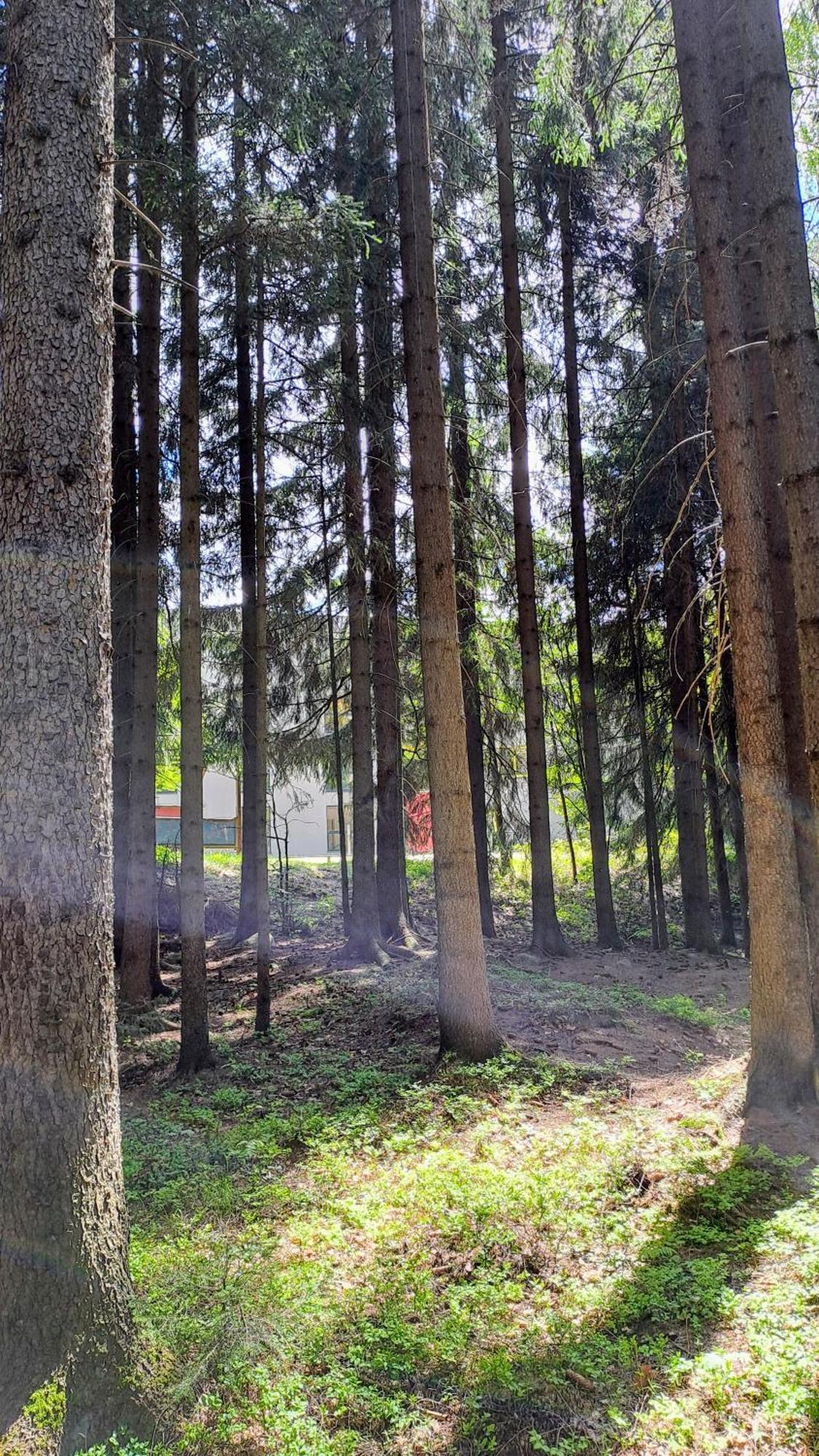 Plne Vybaveny Pod Mumlavskym Vodopadem, Zahrada S Ohnistem, Idealni Vychozi Bod Pro Turistiku, U Cesty Na Hrebeny, Kousek Do Centra, Absolutni Klid, Vybaveny I Pro Deti, Wellness A Fitko Naproti Appartamento *